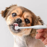 Pawsitively Clean Toothbrush